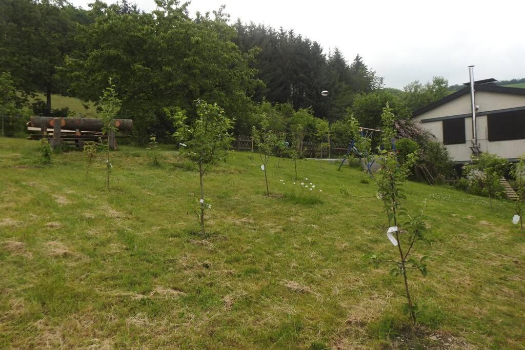 Appartamento Bergblick Medebach Esterno foto
