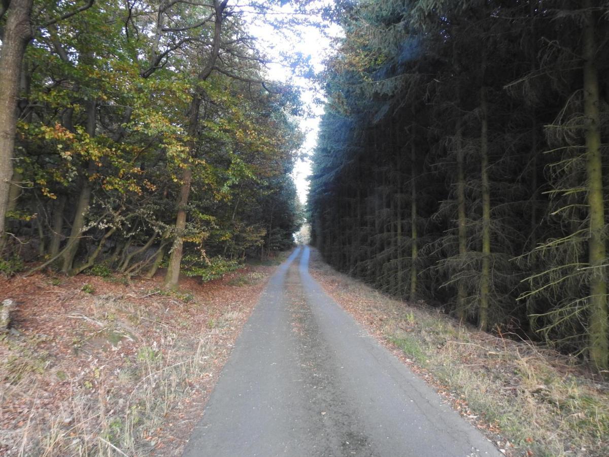 Appartamento Bergblick Medebach Esterno foto